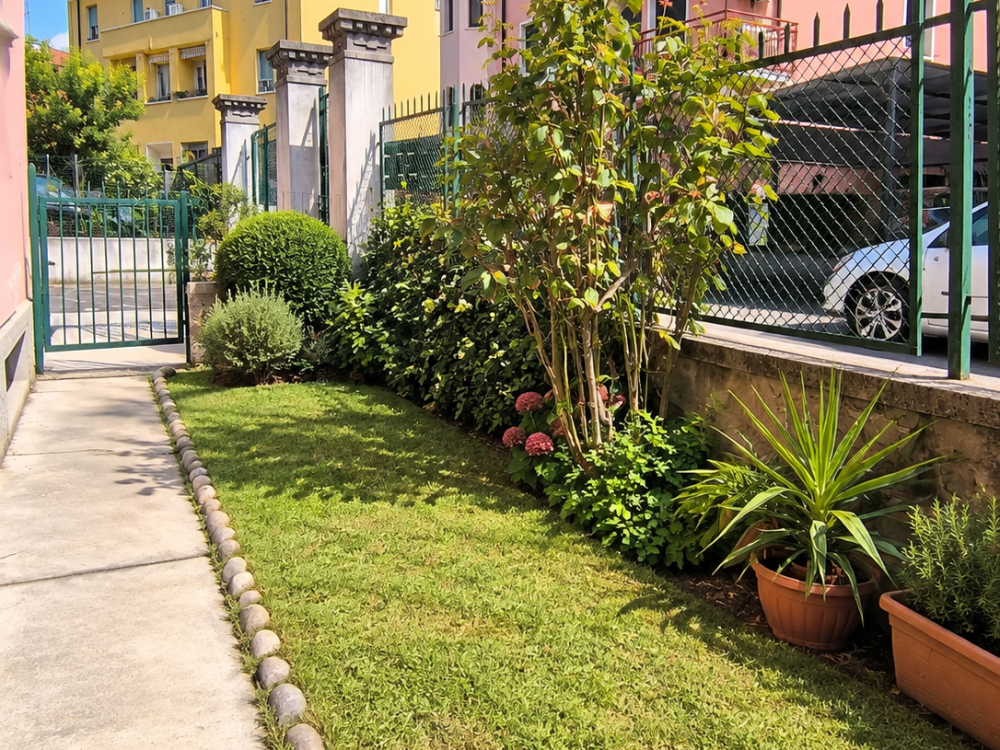Giardino soleggiato con cancello verde